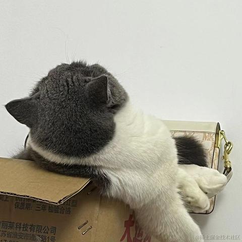 DTing于2023-12-13 16:48发布的图片