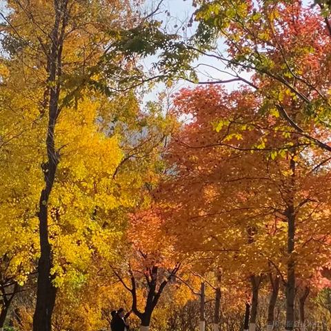 晚者无暇于2022-11-20 10:12发布的图片