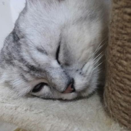 葫芦是顶碗人于2022-11-18 08:31发布的图片