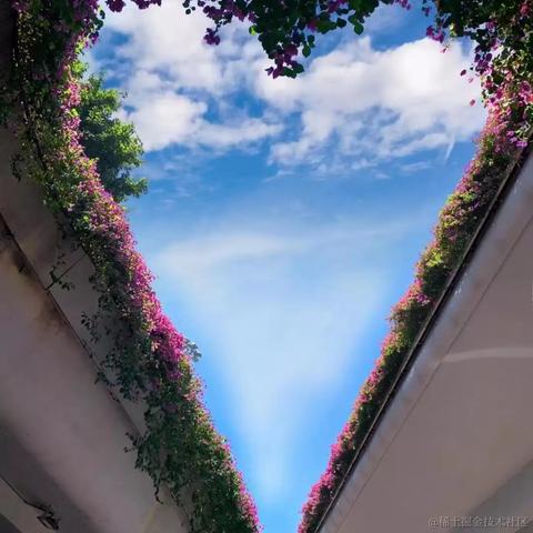 法医于2022-11-12 11:51发布的图片