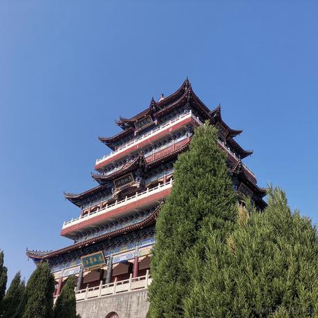 一份大薯可以吗于2022-11-11 16:02发布的图片