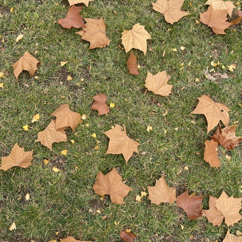 和稀土掘金矿于2022-11-19 00:51发布的图片