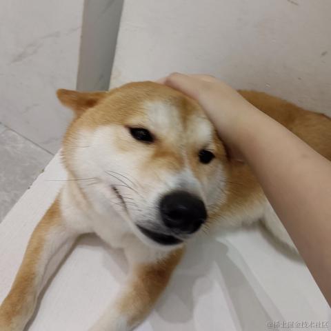 心想事成717于2023-07-06 18:56发布的图片