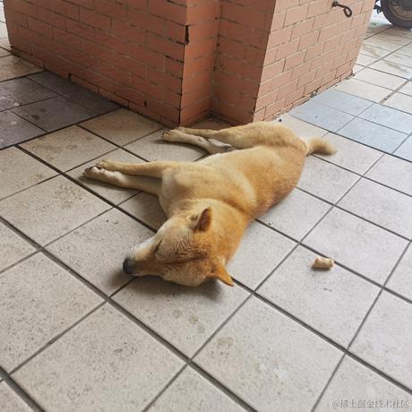 夏月祈于2022-11-16 09:02发布的图片