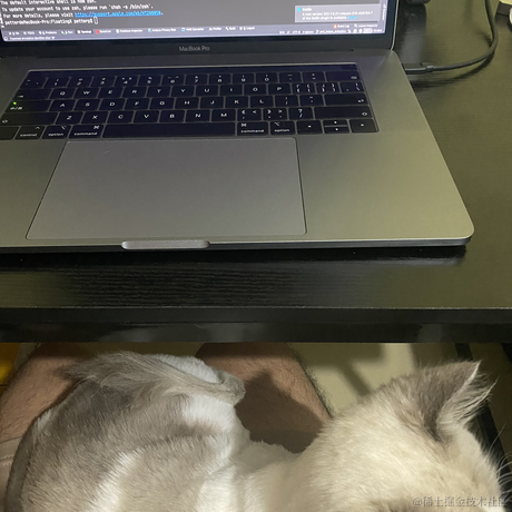 Petterp于2021-07-25 23:47发布的图片