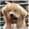QW于2024-01-25 13:21发布的图片