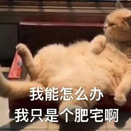 夜长长长长于2021-02-23 16:43发布的图片