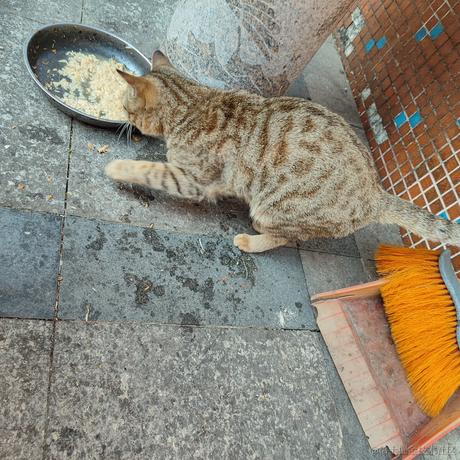 皮卡于2022-12-11 11:39发布的图片