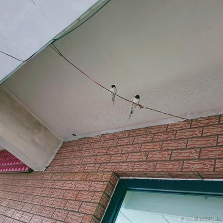 四月一日君寻于2023-07-04 09:58发布的图片