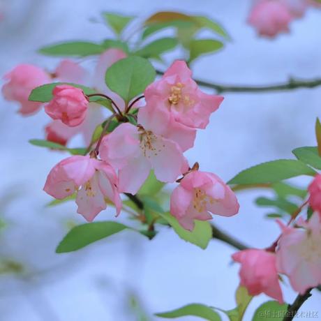 podongfeng于2021-03-14 06:28发布的图片