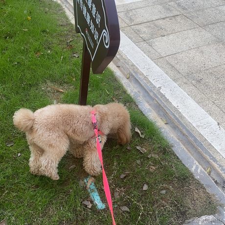 一木1于2022-12-16 08:00发布的图片