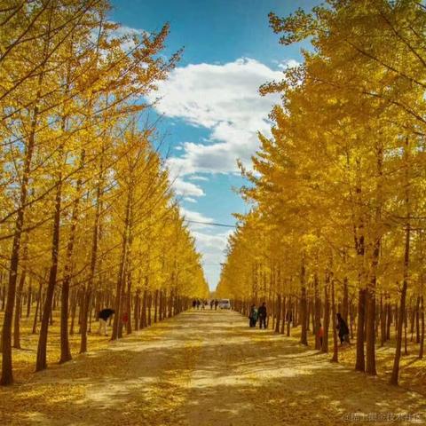 尚影嫣于2022-11-09 16:54发布的图片