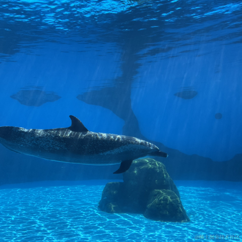 我是个靓崽于2023-04-22 23:43发布的图片