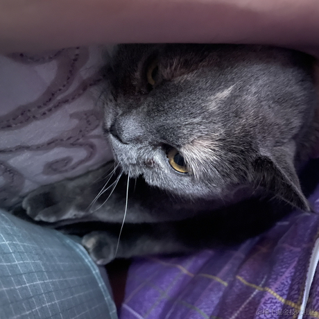 tp于2022-12-16 14:46发布的图片