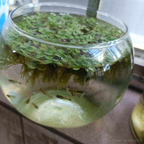 依家恰晚饭于2023-07-08 07:44发布的图片