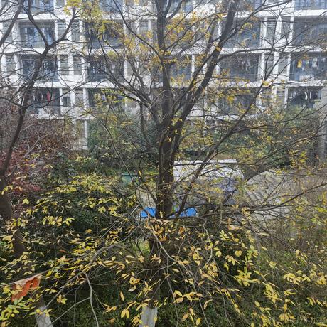 mayyyyyyyy于2022-11-29 17:36发布的图片