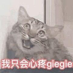 QAQWQ于2023-08-08 18:28发布的图片