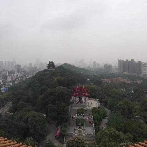 叶一一于2022-11-01 08:22发布的图片