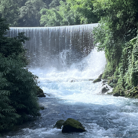 草莓酱于2023-08-17 11:21发布的图片