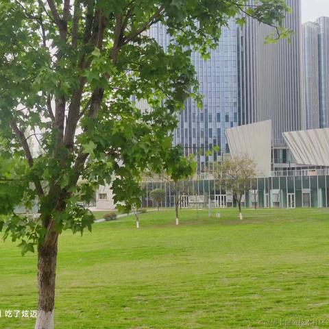 陈一月的编程岁月于2023-04-13 14:31发布的图片