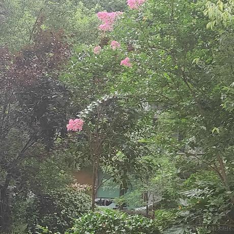 哔哔姬于2023-07-04 07:37发布的图片