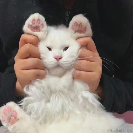 晚比大魔王于2023-01-11 10:15发布的图片