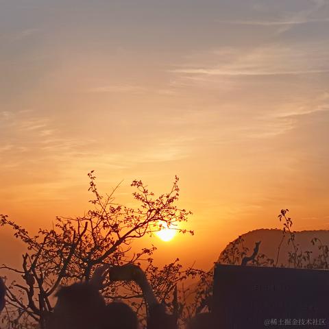 做着摘星的梦于2023-05-01 23:09发布的图片