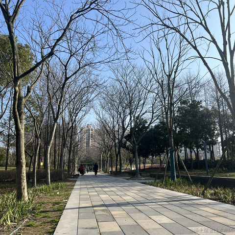 偷天神猫于2024-03-10 08:40发布的图片