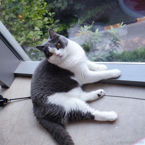 未季言于2022-10-01 17:39发布的图片