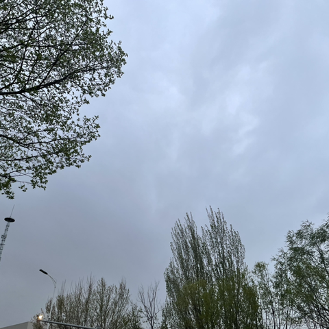 不知道起什么名字啊于2022-04-11 18:51发布的图片