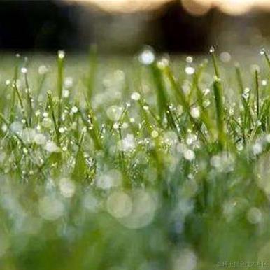 莫_辞于2023-04-02 16:05发布的图片