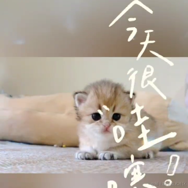 龍佛于2023-06-01 17:43发布的图片