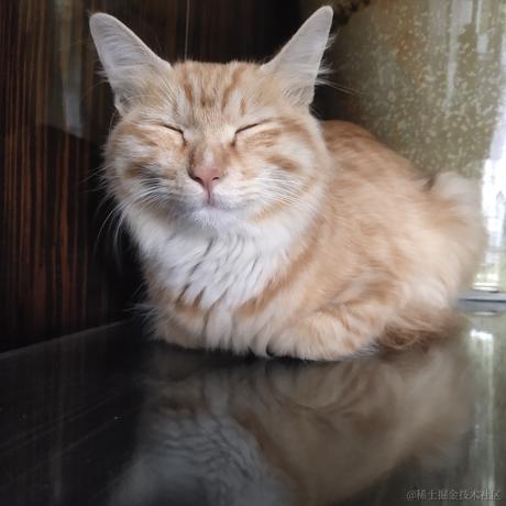 枝江第一剑修王贝拉于2022-11-19 18:18发布的图片