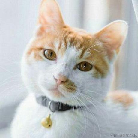 大明少保于谦于2024-03-01 10:49发布的图片