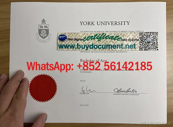 York University diploma.jpg