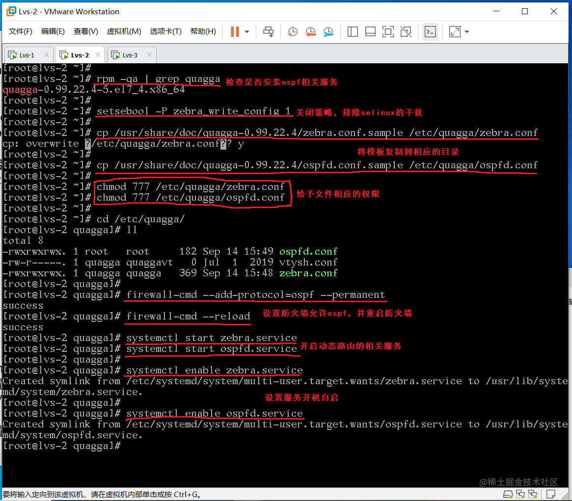 Debian quagga ospf настройка