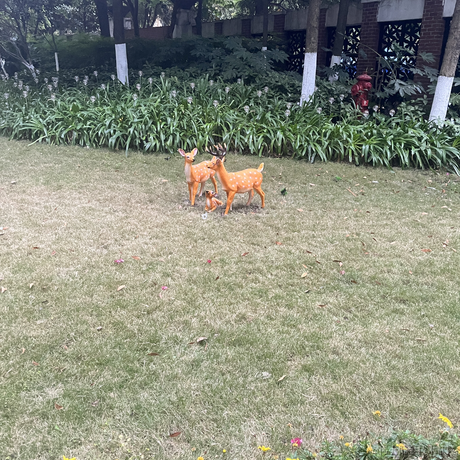 鸭鸭世界第一可爱于2022-11-25 12:18发布的图片