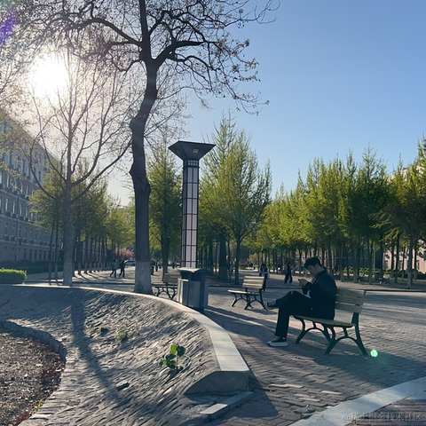 秋妈于2023-04-07 20:02发布的图片