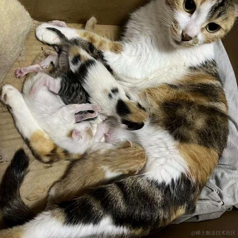 单纯_稀饭于2023-03-29 09:09发布的图片