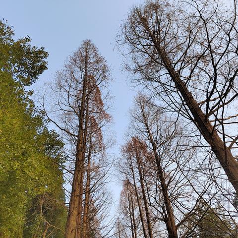 Sarah_于2024-01-09 17:35发布的图片