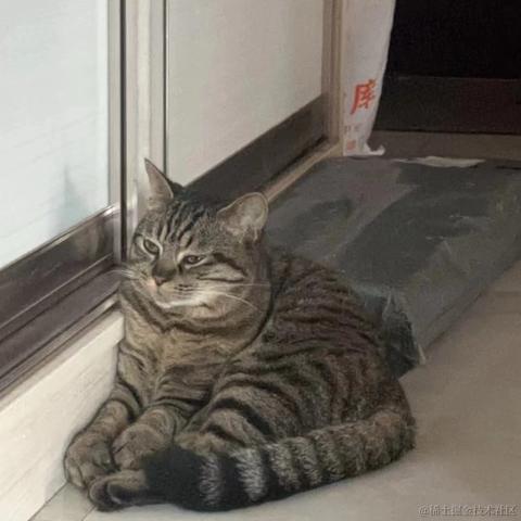 知_足于2024-05-27 10:20发布的图片