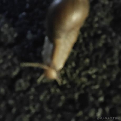 吃什么于2023-06-26 20:28发布的图片