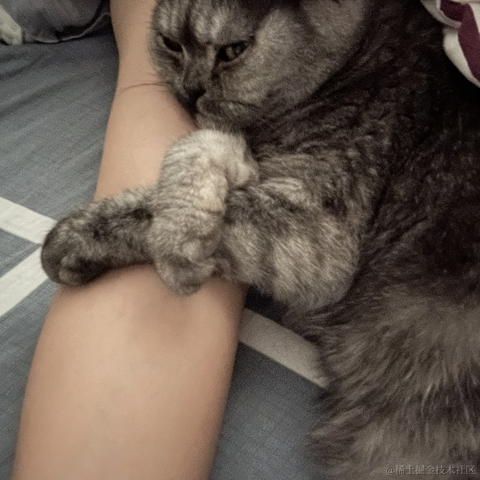 _Waldeinsamkeit_于2023-05-26 17:22发布的图片