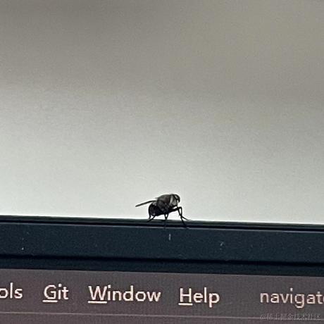 伤心太平洋于2022-09-01 11:07发布的图片