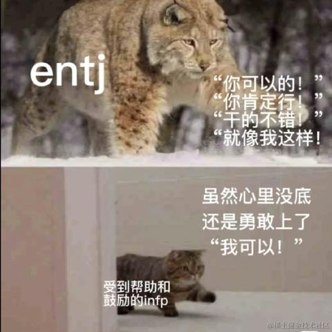 拉布拉多_于2023-05-31 15:17发布的图片