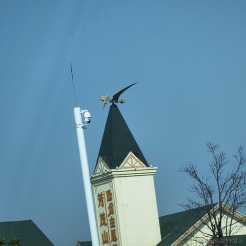 未季言于2023-01-19 11:20发布的图片