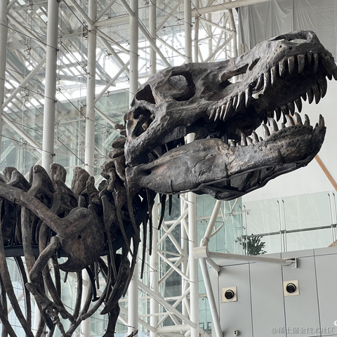 略略略啦于2024-06-03 10:18发布的图片