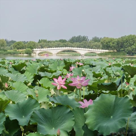 乃宝可爱捏嘎于2023-07-02 14:47发布的图片