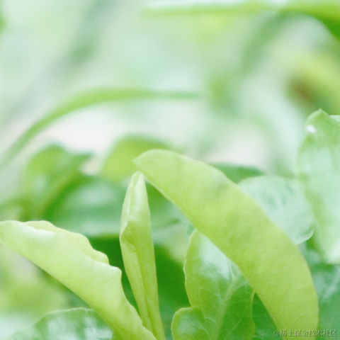 红毛丹于2022-03-21 13:43发布的图片