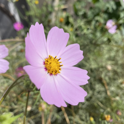 摄氏40度于2021-09-22 09:29发布的图片